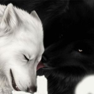 Meet your Posher, Shanna